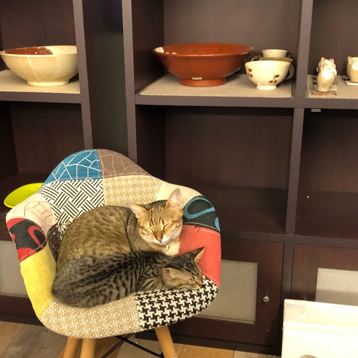 76ffc97f 4aaf 4a13 a412 f809baada229 1602933858204