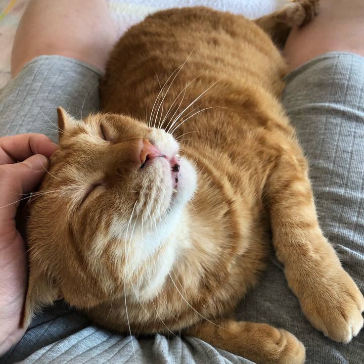 7700109e beac 43d0 9235 b8b0e3e7fa8c 1587595472418