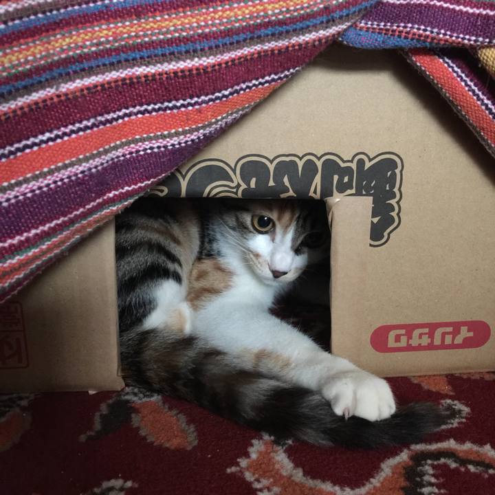 77002324 d02b 4f4b 822b 1eb30a3e541e 1640137969239