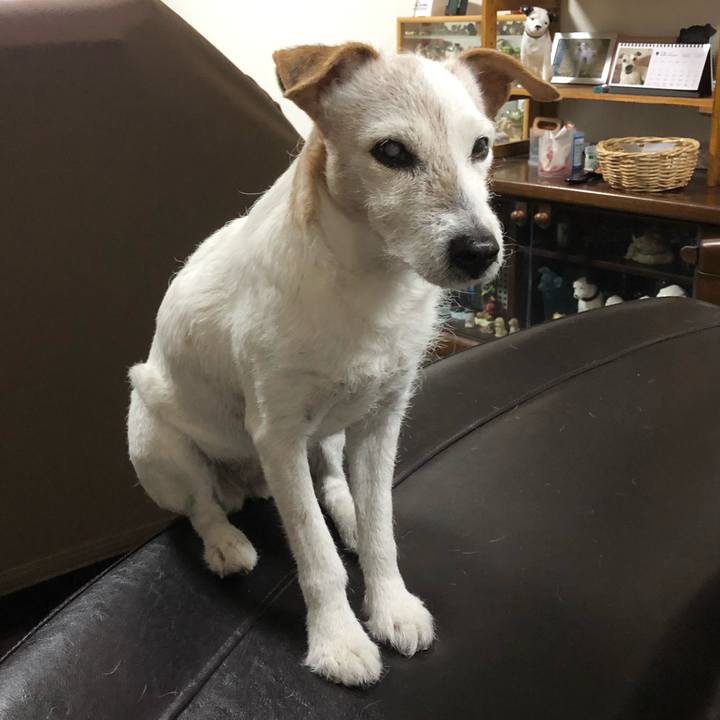 770024b8 7ebe 4835 916c e6d193819e52 1544615762711