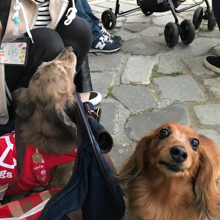 77004012 3c87 4dfb ac2a 054ecd22e54e 1509831402508