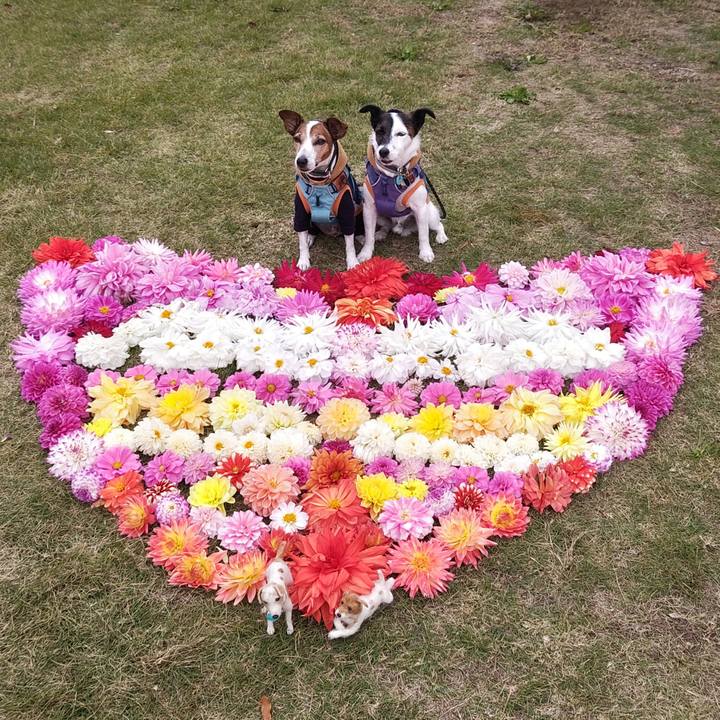 770042ac 0521 4d18 9e41 41ffefd2e347 1762429024232