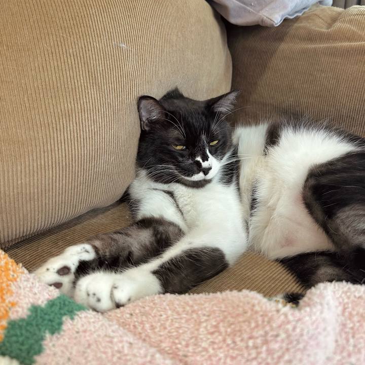 77005ce5 91ce 4bf5 93b3 a100dd7900f2 1767496094814