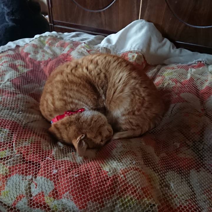 77009e88 dd6f 465f 91c2 b88c142c1fc4 1578180336405