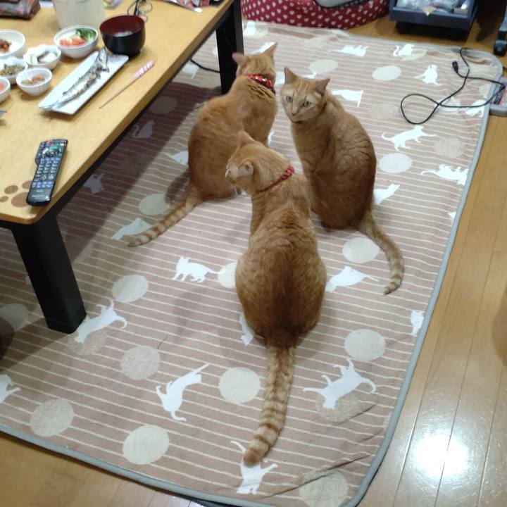 7700c663 8e8d 4a14 8767 2d95119f84aa 1764064562070