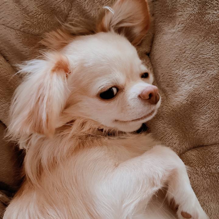 7700f076 51a2 4575 9eeb b3b462692212 1664422717756