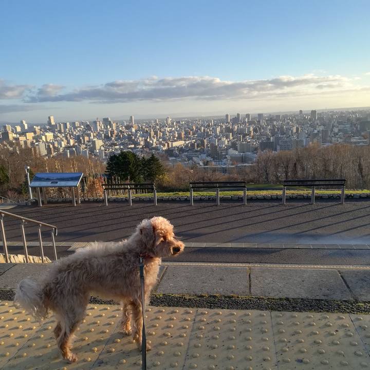 7700fc89 4a7e 4820 86b7 353576e95b1d 1542415245182