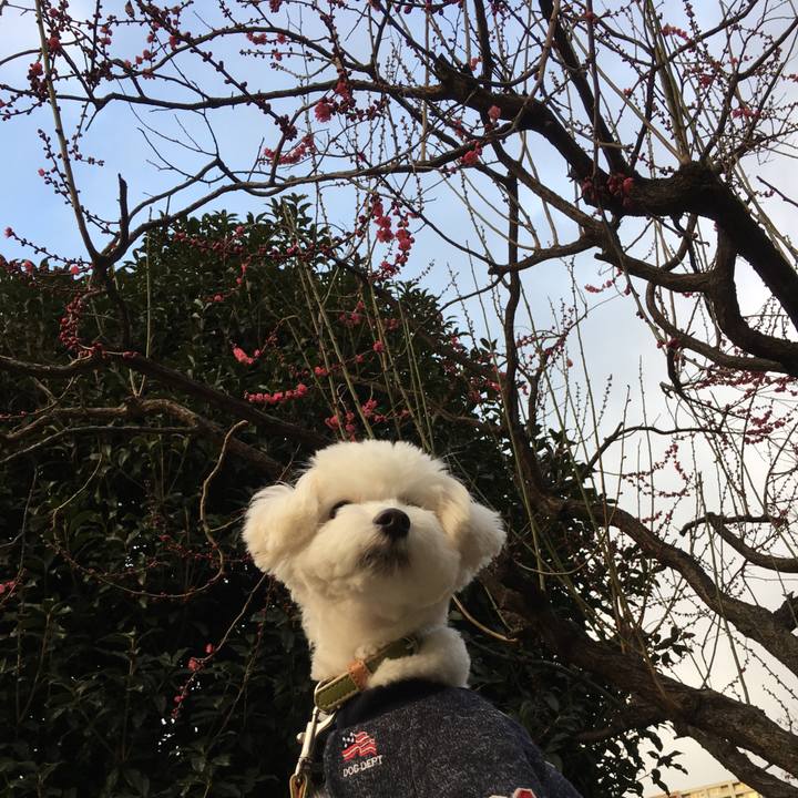 77011141 01ee 4fc2 b1f3 e8fff401088e 1517834826977