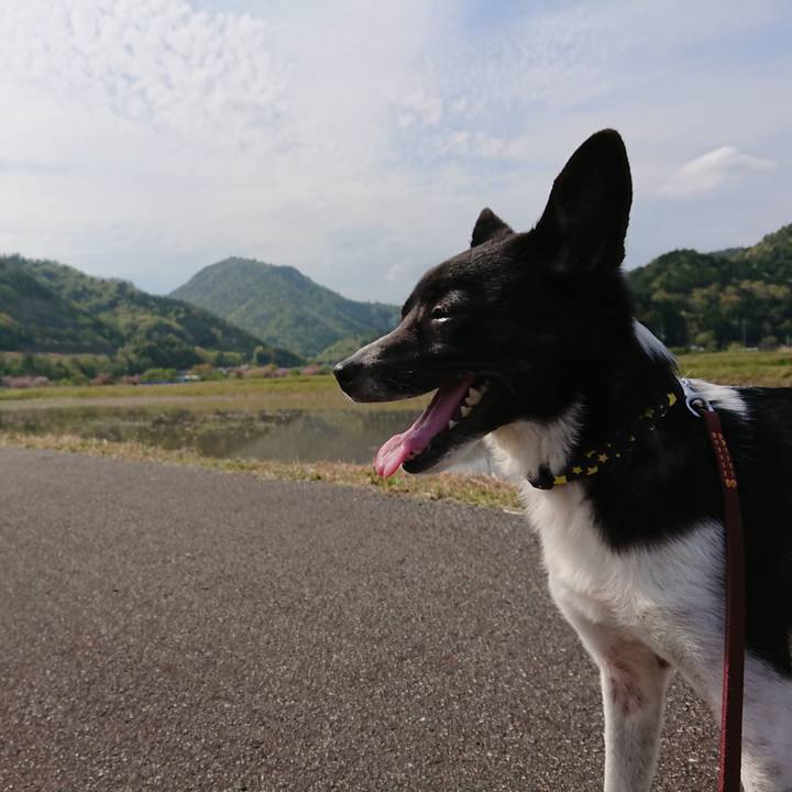 770182d3 937e 4567 94ed b7c5fb6237d1 1524465271589