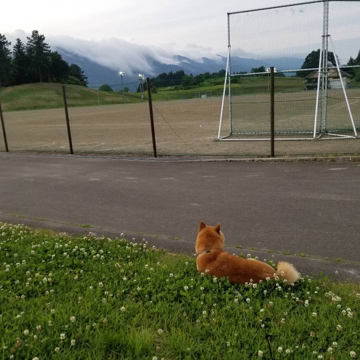 77019140 fabf 4e90 8524 9b8df92c5362 1623747489051