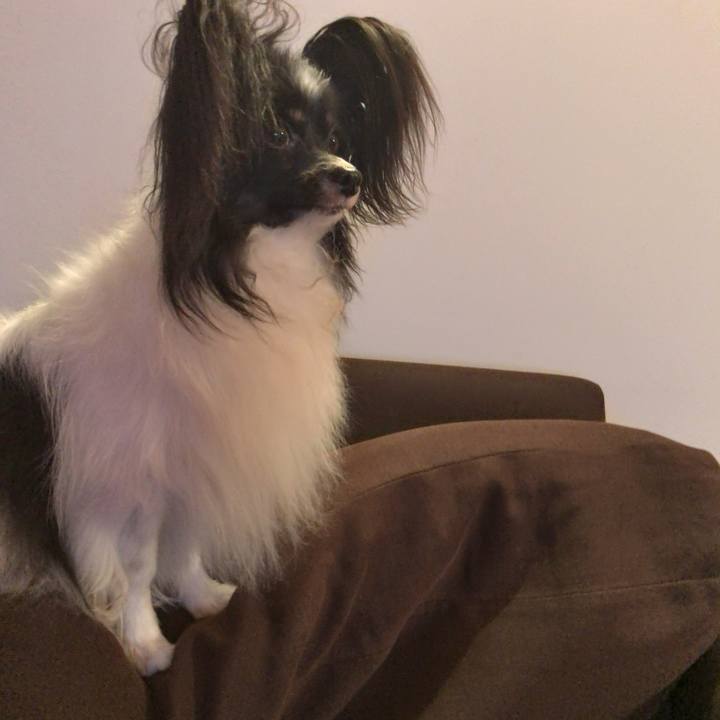 7701a2f1 d228 4426 866c dd066701c098 1533817101801