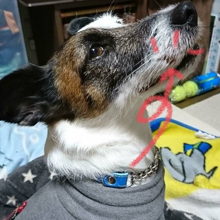 7701abe8 b367 49af bec6 7b82ea810707 1580906984758