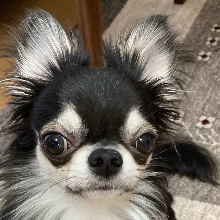 7701ac85 0967 4cff b3ec 2192447aaf8a 1616885367259