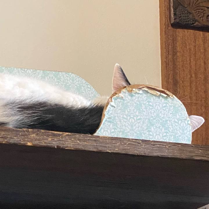 7701ae26 4864 4bb0 be5c abcb1e969028 1759205235720