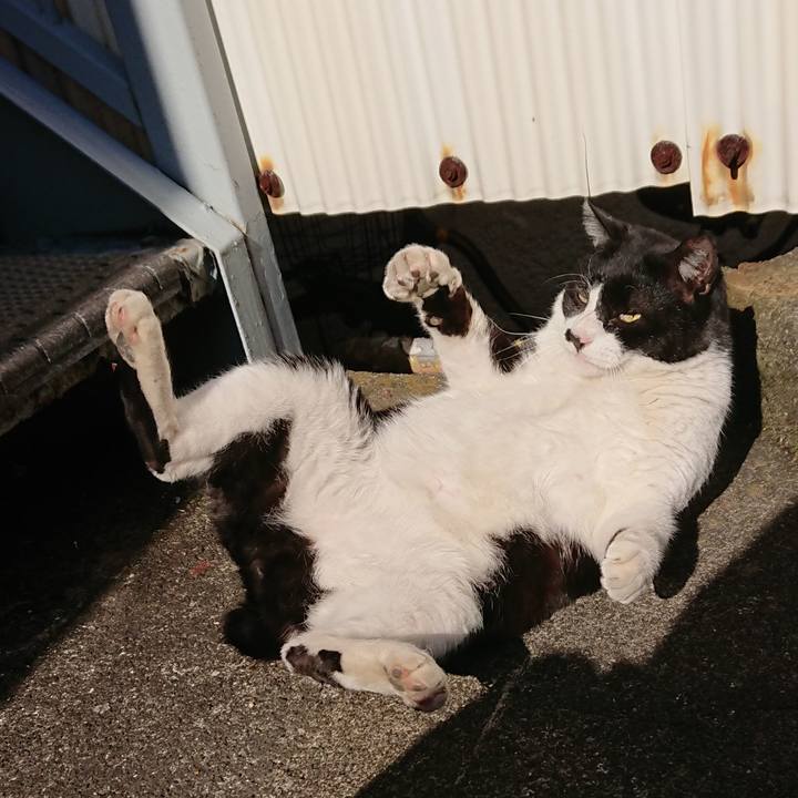 7701c9a7 0f8f 48c6 a313 afc283a410b0 1547349808433