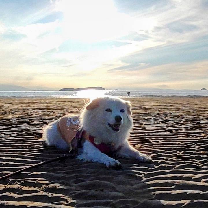 7701ca63 f30c 47be 8a51 5eb61d1a402b 1667720032243