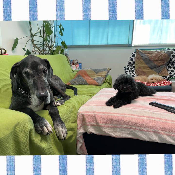 77022513 c226 457d 968f 6629c9fc092d 1624833056057