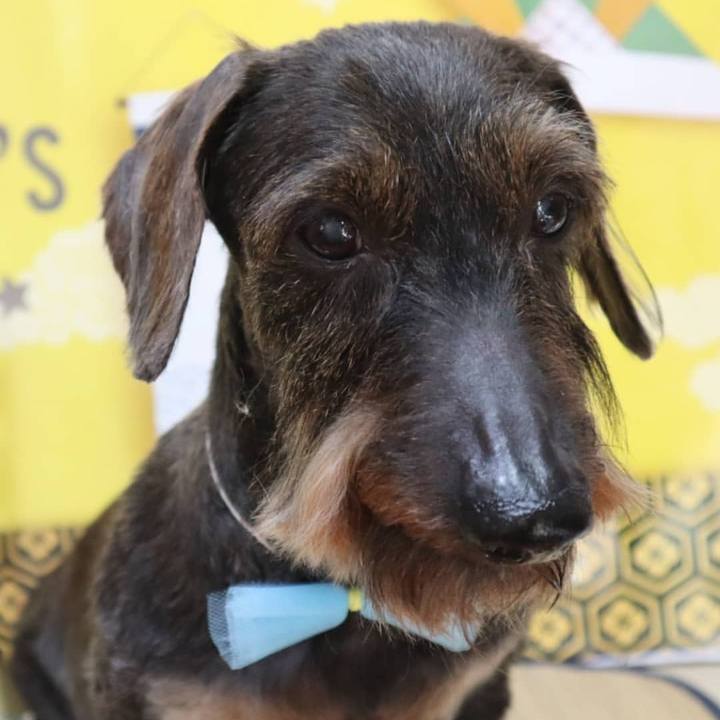 77022fe1 41c6 49af 921e 5ae56317857e 1620309762005