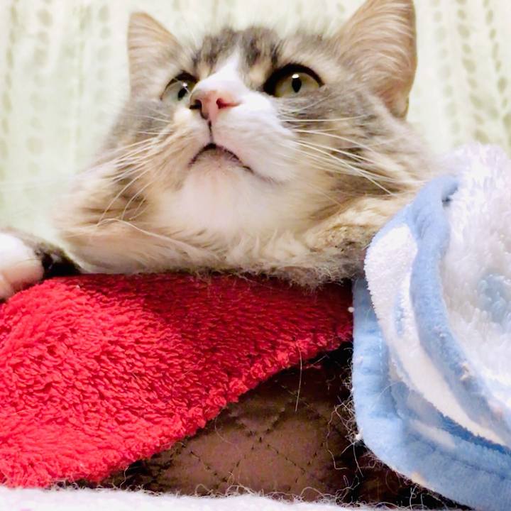 770245cf ff9c 4b28 90a1 24c7f33706d7 1554745930918