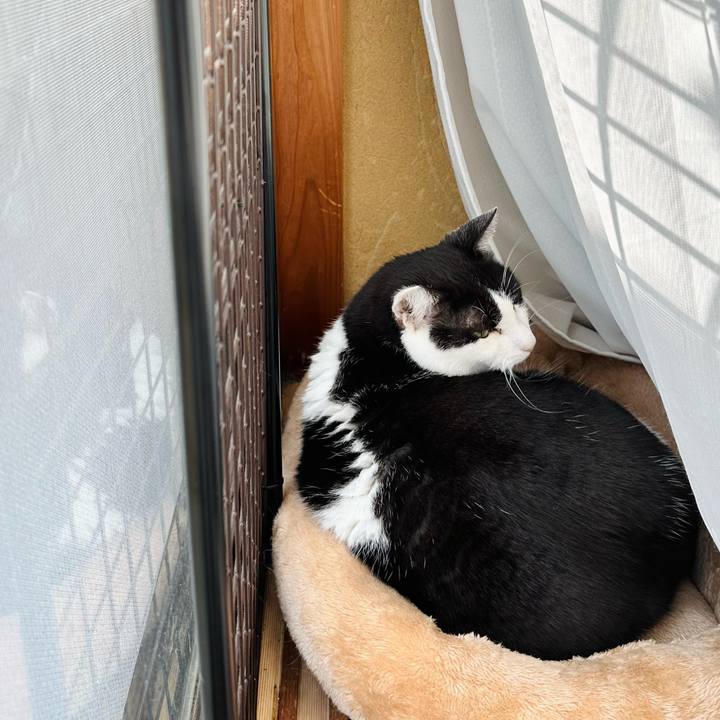 7702489c 060f 4509 8edb c7f649422146 1701566714595