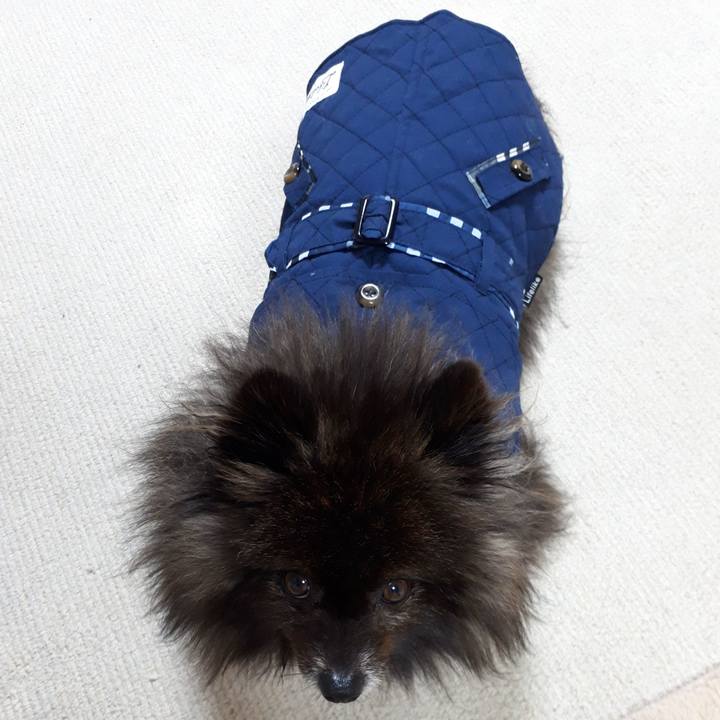 77026e13 3d92 44cd 8d52 44605da20195 1518462369343