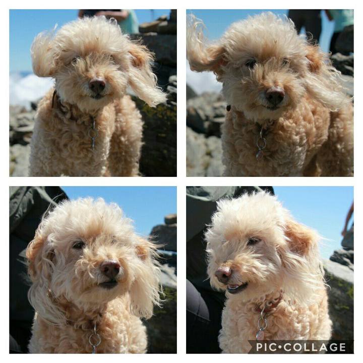 7702795f ea40 4353 bd50 119598418233 1595512838391