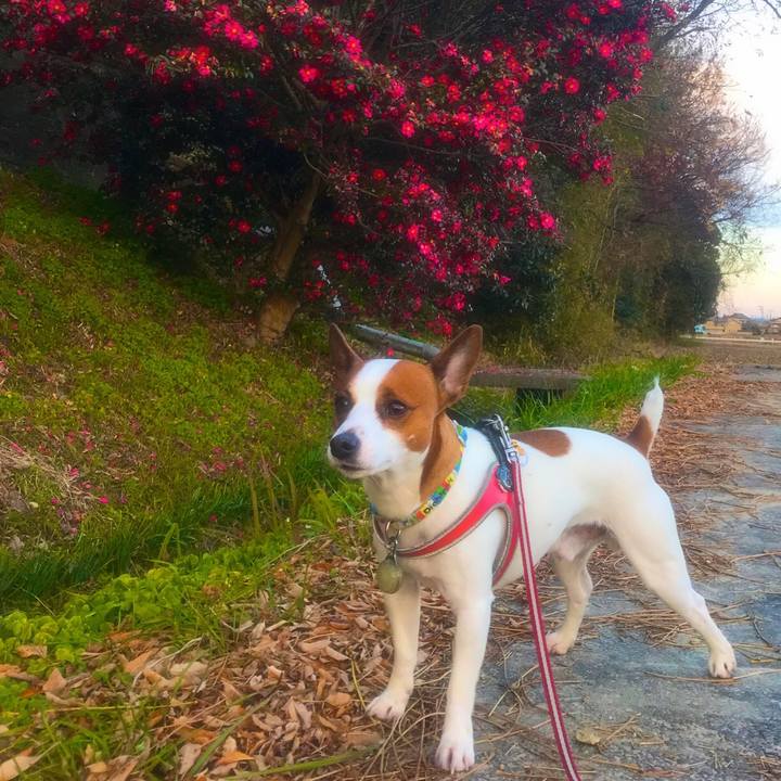 7702c425 155d 413e b994 01493ad65d59 1514470879257