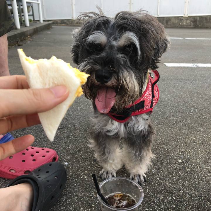 7702c4dd 1e07 47da 8fdf 0c04d1fc7f14 1565585347811