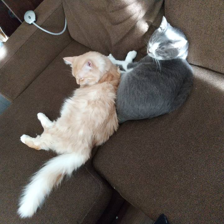 7702cceb 7035 4d08 8de1 bd2655286867 1639810036179