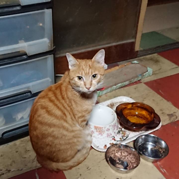 7702d047 cd8b 4e18 842d 46529b3fde39 1570220021973