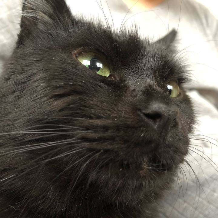 7702ec3d d465 4064 a19f e8a381f41bdc 1582409547166