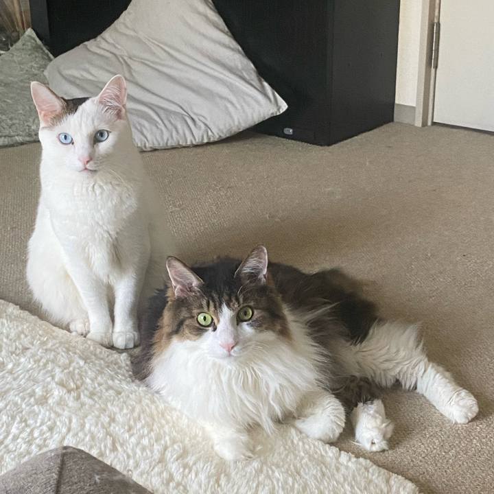 77035464 9463 4102 b2aa 0cfd21af5897 1662762451248