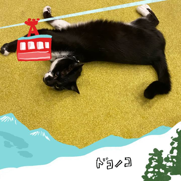 77035e25 2553 4272 8339 b18fff723777 1706778151289