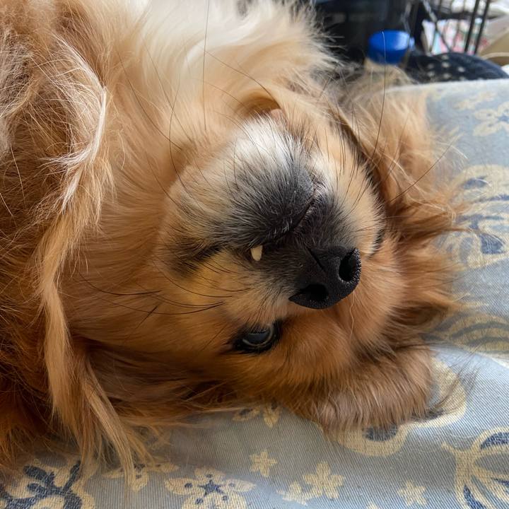 7703957a 3a41 48fa bc65 fdbbb2cf5526 1618008616964