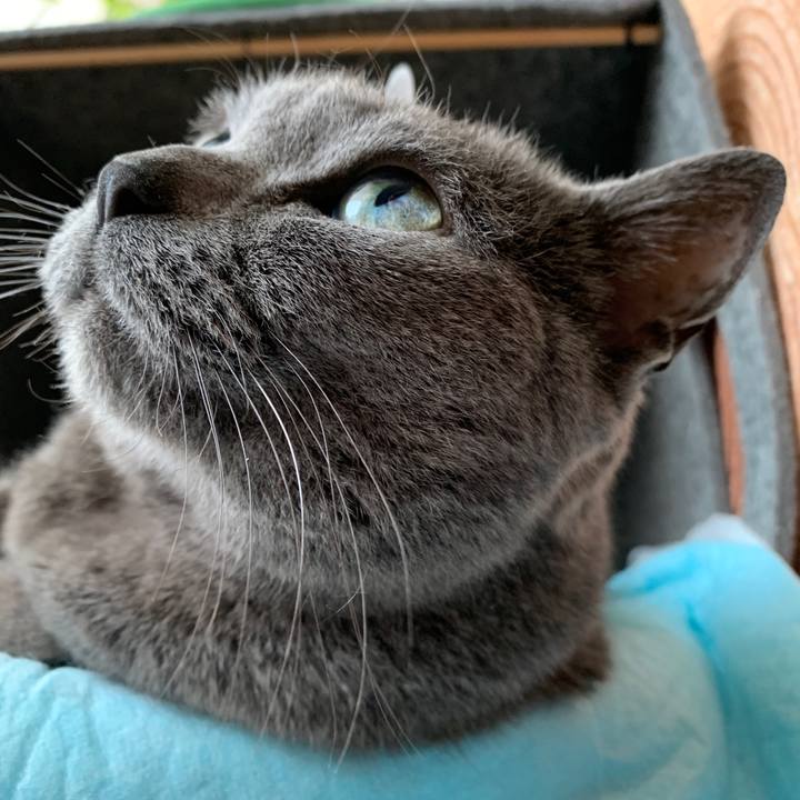 7703a8e9 f950 4d0b 9673 ab61811c79e3 1555627295234