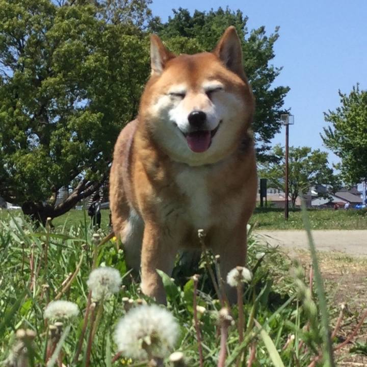 7703aa06 9e82 4870 8338 934b6d791d26 1619410331112