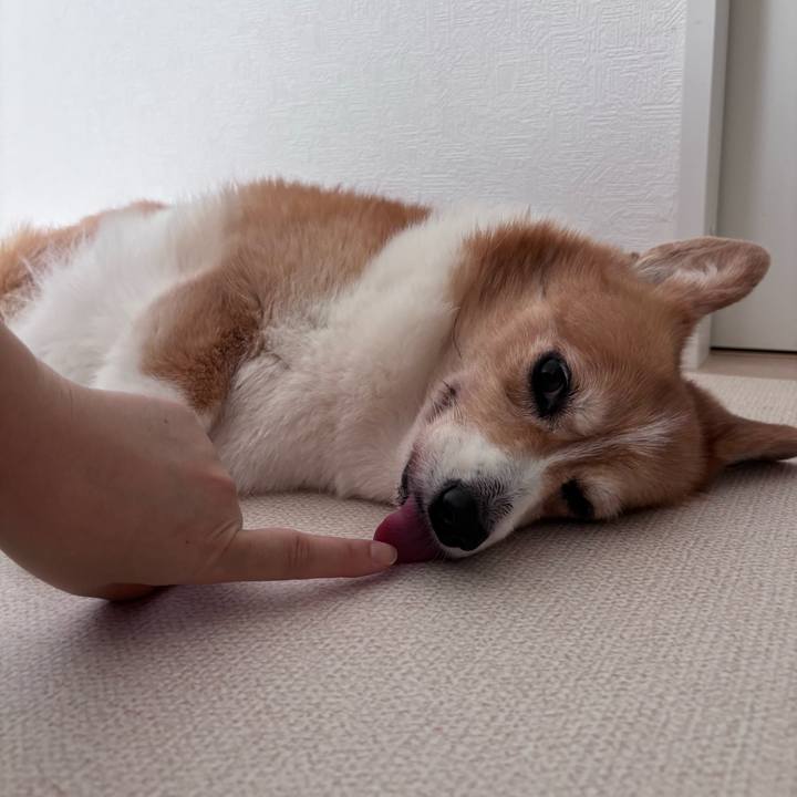 7703aab1 8250 4b6e a3ad 079a3a993121 1755223110020