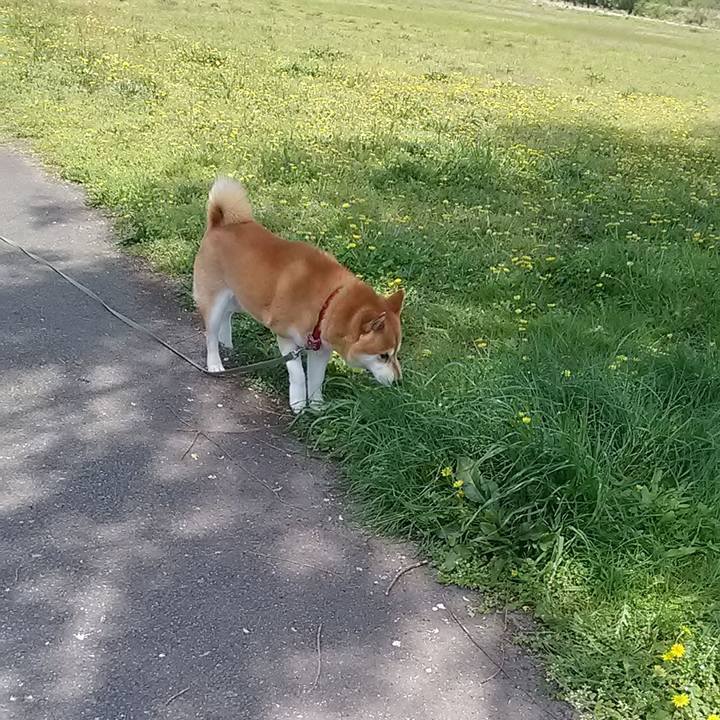 7703b815 56f7 47af 9cd0 e85f7a965998 1618483589814