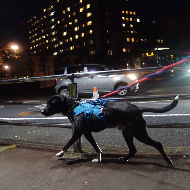 7703c5e4 d554 4dd8 9642 ced0a81c82f0 1606731805612