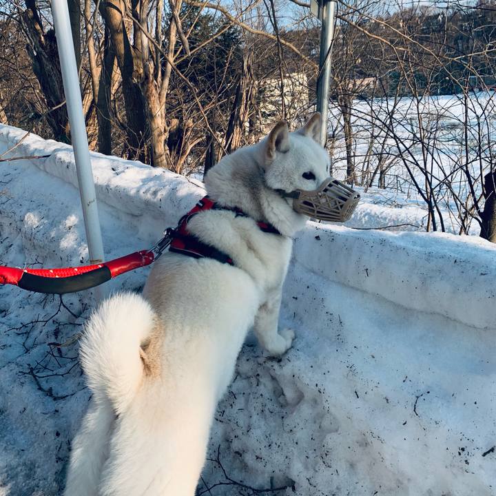 7703f61e 677b 40c3 97fb 993bfdc0412d 1679006793811