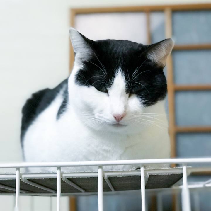 77040ebf 5e64 462f a60a 6d61bb226771 1514851203535