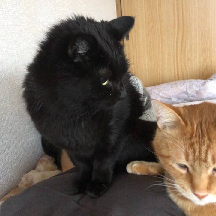 77041ac2 ac88 4f75 b412 afef8402f9a7 1605309049081