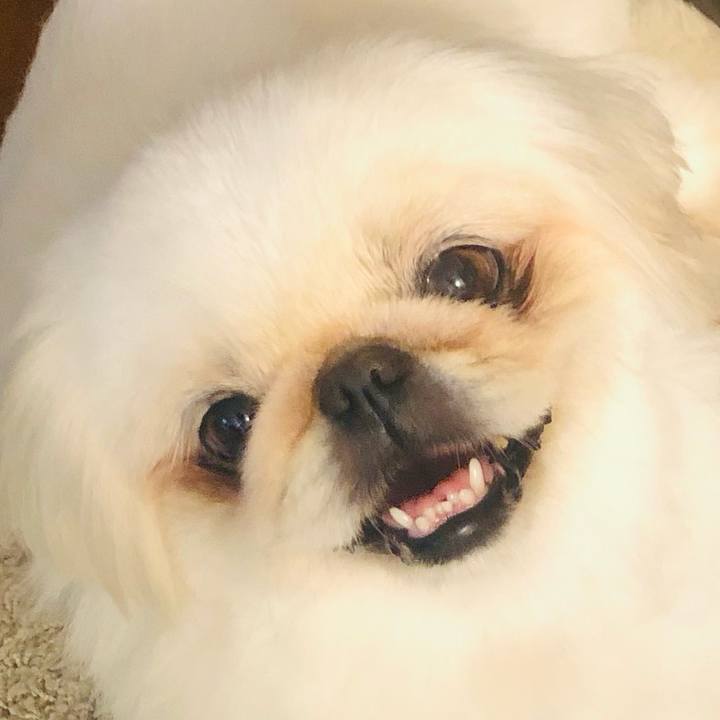 77041f52 bea6 4968 bdb7 648663ee4b4f 1625827006573