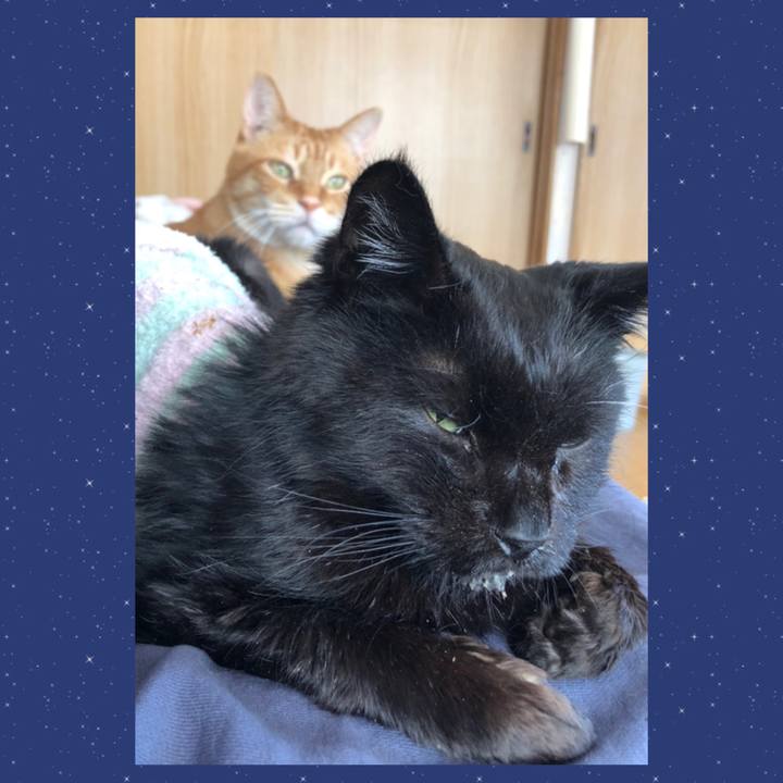 770453a8 9d4f 469f b7af 6b909026eedc 1646526988459