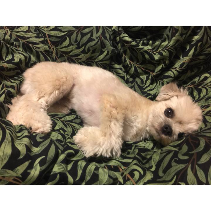 77046903 0723 45a2 a4a0 272eeb645af4 1524656286421