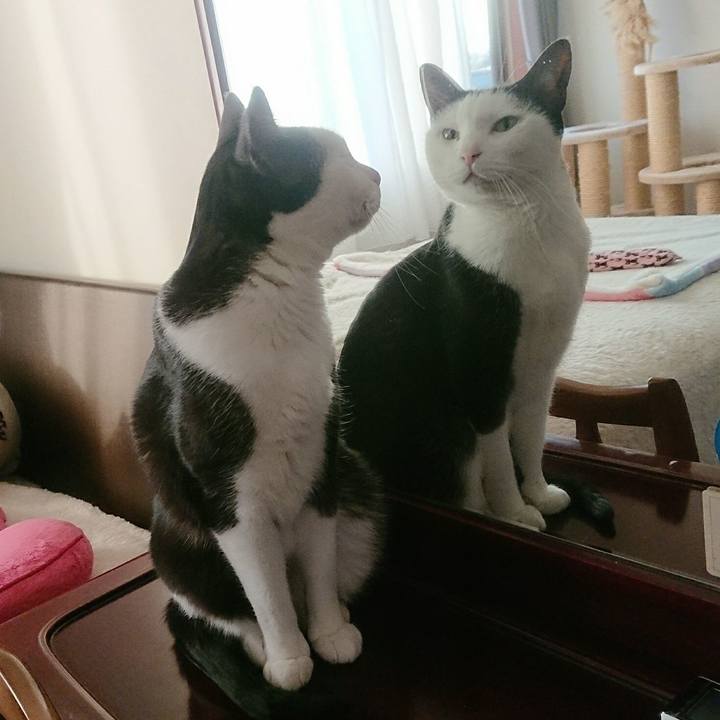 7704caed 5a08 495b a97e 913e12aa8bd3 1546736260182