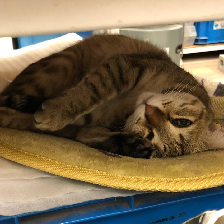 7704db83 a505 4f6a bf8f 2805d2a44988 1613093628792