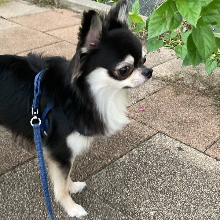 7704e875 da99 442c 88f5 49d3321309b5 1630152506626