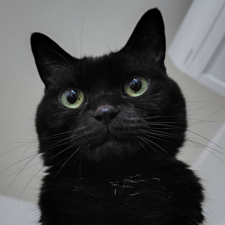 7704f423 6863 4b30 a746 90bb357a43fb 1771592092477