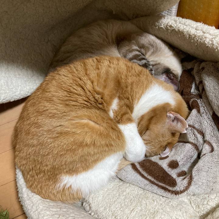 7704f737 edb2 46d6 af11 9f03d126a12a 1773415803175